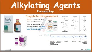 Alkylating Agents For Researchers [upl. by Nnylyak13]