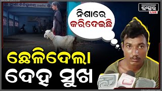 ମୁଁ ଛେଳି ମୋତେ ଦୁଷ୍କର୍ମ ହୋଇଛି I ମୁଁ ଯାଉଛି ଡ଼ାକ୍ତରଖାନା ମୋ ମାଲିକାଣୀ ତୁ ଯା ଥାନା [upl. by Willa]