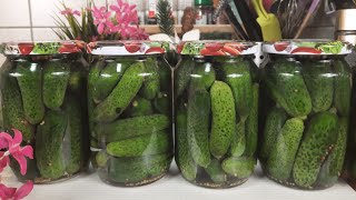 ZIMNICA  kiseli krastavčići očas posla ❕🫙 🥒 [upl. by Kcireddor]