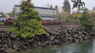 Steilacoom Ferry Terminal walkabout [upl. by Haelem]