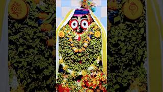 Jay Jay Bajrangbali hey Google Jagannath Swami Neela  jaychhavni bhasha ⭕❗⭕🌺🙏👏🚩🛐🏵️2710240900 [upl. by Longerich]