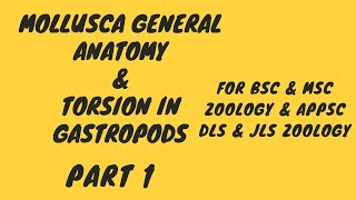 Mollusca General Anatomy Part1 [upl. by Kessler]