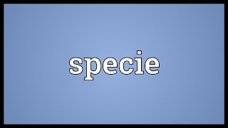 Specie Meaning [upl. by Ataner]