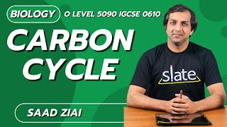 Carbon Cycle  O Level  Biology  Saad Ziai  SLATE [upl. by Lansing]