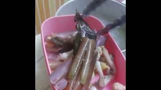 Cara mencuci sampai dengan memasak kerang bambu razor clam [upl. by Linoel]