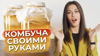 Чайный гриб – ЭТО ПОЛЕЗНО  Как приготовить комбучу в домашних условиях [upl. by Retrac618]