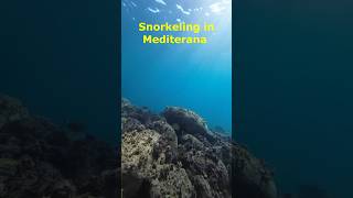 snorkeling mediterana spania ocalatoriecatoviata [upl. by Enailil]