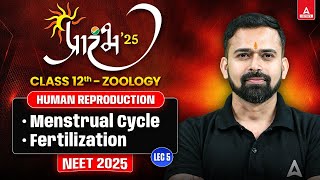 HUMAN REPRODUCTION CLASS 12 NEET 2025  MENSTRUAL CYCLE FERTILIZATION  ALL CONCEPT AND THEORY [upl. by Hannah]