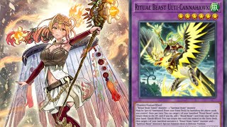 Ritual Beast Deck Profile  1 Card Combo  TCG 2023 [upl. by Einad]