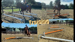 Cavaletti training amp oefeningen Inclusief tips  Hindernissen Centrale  ✰vlog 149 ✰ [upl. by Ayouqes840]