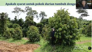 Ep 20  Syaratsyarat pokok durian hidup subur  Sifu Lim Chin Khee [upl. by Marilee]