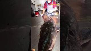 MEGA Monster Kaluga Sturgeon Fish Butchery 😳  Spinal Cord Removal Process sturgeon short viral [upl. by Monah]