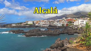 ALCALA TENERIFE [upl. by Kries]