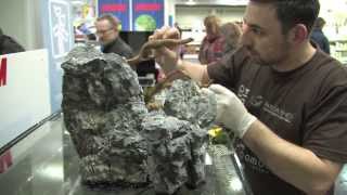 Aquascaping Contest quotThe Art of the Planted Aquariumquot 2014 The Event pt 1 of 3 [upl. by Nanette]