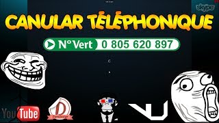 DELIRE Canular Téléphonique Skype ft Blazy163 et VirtualJojo [upl. by Anselmi110]