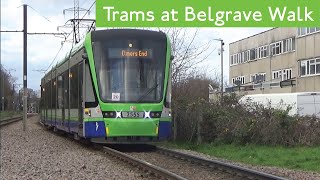 Trams At Belgrave Walk London Trams [upl. by Dallis182]