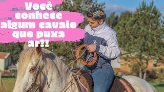 Você conhece algum cavalo que puxa ar [upl. by Wollis]