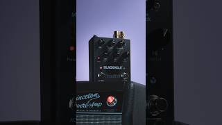 Blackhole Reverb  Eventide [upl. by Iridis]