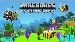 Bare Bones Texture Pack For Minecraft Pe 120  Bare Bones Texture Pack [upl. by Nitsreik]