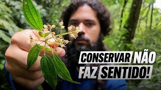 NIILISMO AMBIENTAL e a falta de EGOÍSMO para a CONSERVAÇÃO  Guia da Floresta [upl. by Ymmac715]