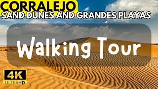 THE SAND DUNES OF CORRALEJO AND GRANDES PLAYAS  WALKING TOUR FUERTEVENTURA [upl. by Nnylhtak663]