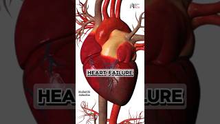 heart failure medical animation 3d short BiologywithAliya [upl. by Ormsby]