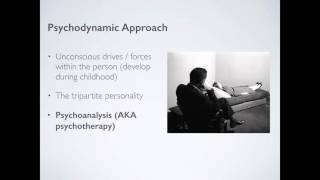 The Psychodynamic Approach [upl. by Pucida]