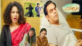 Teri Chhaon Mein Ep 20   Laiba Khurram  Teri Chhaon Mein Episode 20  HUM TV Drama Review [upl. by Eneloj938]