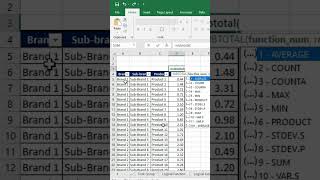 Using the sum formula of the Subtotal function [upl. by Lsil]