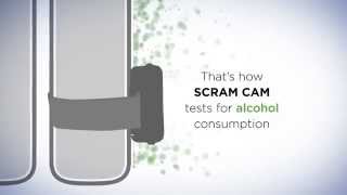 SCRAM Continuous Alcohol Monitoring® [upl. by Nyllaf392]