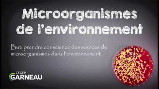 Microorganismes de lenvironnement [upl. by Narib]