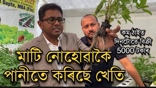 পানীত কৰিছে খেতি No soil farming ।Hydroponic farming in Assam।Hydroponic farming । Pranjal Gogoi [upl. by Eruot]