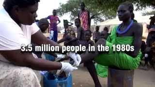 WHO Guineaworm disease  delivering the benefits of eradication [upl. by Arno]