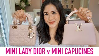 Mini Lady Dior v Mini Capucines Comparison  Sam Loves [upl. by Osugi638]