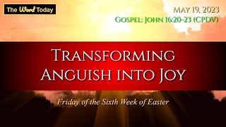 Todays Catholic Mass Gospel and Reflection for May 19 2023  John 162023 [upl. by Harlow]