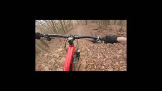 My FAVORITE section of Greens Lick MTB Trail mtb mountainbiking shorts enduromtb bike gopro [upl. by Philippe]