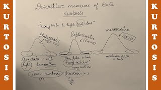 Descriptive Measures  Kurtosis  Platykurtic  Leptokurtic  Mesokurtic  Simple explanation [upl. by Ikkaj]