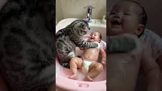 Funny Cat Mind Voice funny cat catvideos comedy shortsfeed shorts funnyanimal animals [upl. by Ramey]