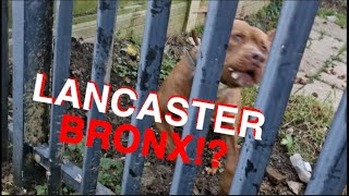 THE BRONX Lancasters Roughest Area [upl. by Yelyac]