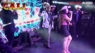 FLOR HERMOSA EL HUIZACHE TIERRA CALI FEAT VIRY SANDOVAL LA REYNA DE TIERRA CALIENTE EN VIVO [upl. by Eat]