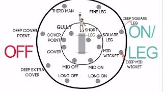 Fielding Positions in Cricket for Right Handed Batsman  Long ONOFFMid WicketFine LegSquare Leg [upl. by Nahsad371]