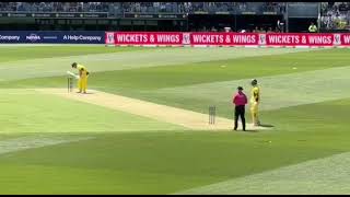 Muhammad Hasnain Gets Marcus Stoinis Wicket [upl. by Kared]