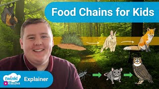 Learning About Food Chains in KS2 [upl. by Finlay143]