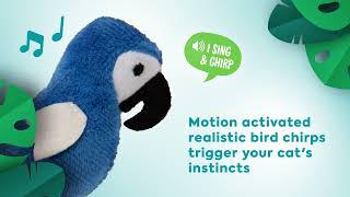 Instincts Chatty Chirp™ Electronic Sound Cat Toy [upl. by Flieger241]