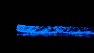 Red Tide Causes Bioluminescent Ocean [upl. by Tevis437]