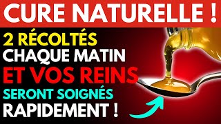 Le moyen le plus rapide darrêter la PROTEINUria naturellement [upl. by Gregor999]