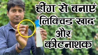 पौधे के लिए हींग से बनाएं चमत्कारी लिक्विड खाद और कीटनाशक Asafoetida BenefitsHow to Use Asafoetida [upl. by Hsima]