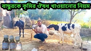 বাছুরের কৃমির ঔষধ খাওয়ানোর নিয়ম  বাছুরের কৃমির ট্যাবলেট  Calf Worm Tablet  বাছুরের ঔষধ [upl. by Sewell]