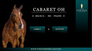 Cabaret OH Caribis Z  Quite Easy 2024 HSH stallion [upl. by Kerri]