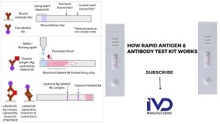 Rapid Diagnostic Tests RDTs Principle Schematic 3D Diagram PartsLateral Flow AssayIVD KITS [upl. by Asaph]